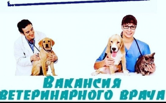ГБУ НСО «Управление ветеринарии Усть-Таркского района НСО» требуется на работу ветеринарный врач.